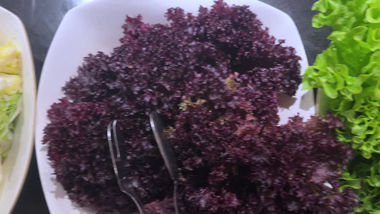 Variety of green leaf vegetables on brunch buffet