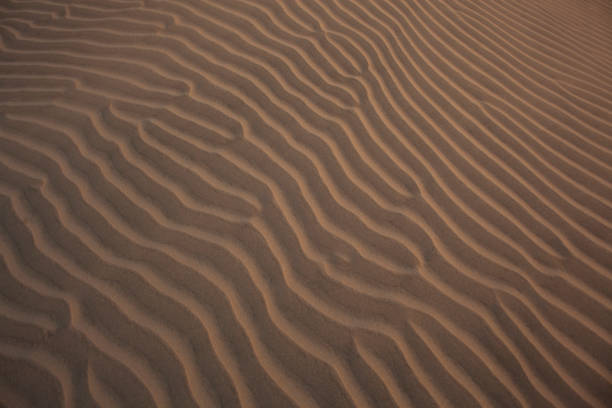 Desert of Ica, Peru