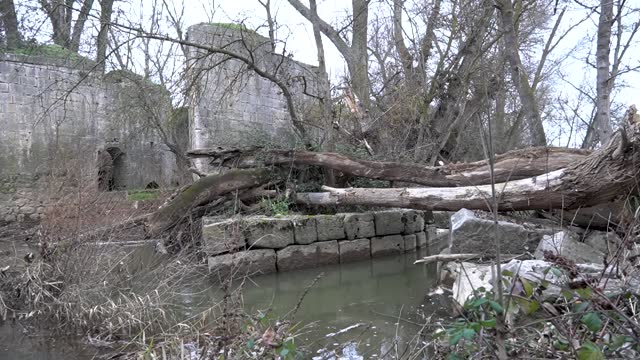 Ruins of an old water mill