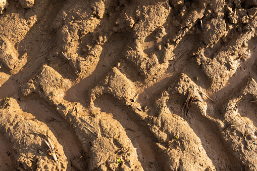 Tillage Echoes: Background or Texture of Agricultural Tractor Track on Moist Soil.