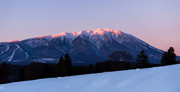 Snowy winter mountain morning with purple/pink light illuminating just the top of Mt. Iwate in North Japan.