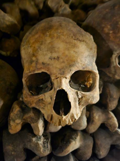 istock Ancient human skull w a+m carved on it 1928355366