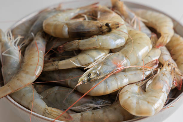 Raw shrimps in a plate
