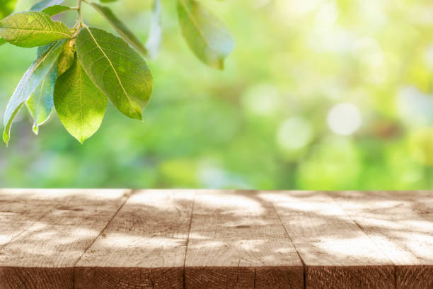 istock Empty rustic wooden table with tree branch with fresh green leaves and defocused green lush foliage at background. 1928414174