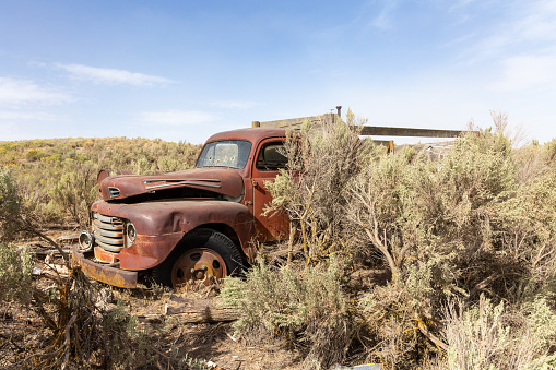A rusty old truck left on a farm in rural Oregon