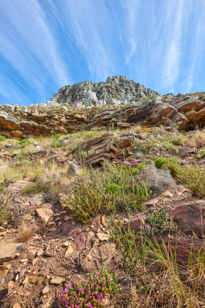istock Mountain trails - Lion's Head and Table Mountaion 1928458968