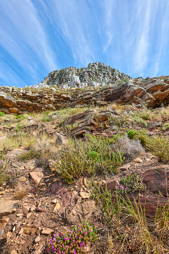 Mountain trails on Lion's Head, Table Mountain National Park, Cape Town, South Africa