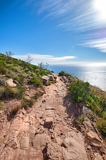 Mountain trails on Lion's Head, Table Mountain National Park, Cape Town, South Africa