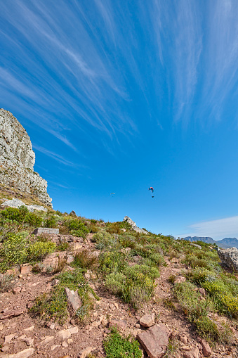 Mountain trails on Lion's Head, Table Mountain National Park, Cape Town, South Africa