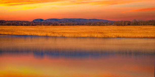 Dramatic Sunset over Sleeping Giant Mountain, Gold-colored Common Reeds Plants, and the Quinnipiac River in Hamden viewed from Tidal Marsh Trail in North Haven, Connecticut