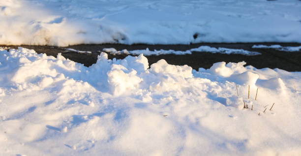Winter wonderland: Snow blankets plants and streets in a serene scene, creating a peaceful and magical atmosphere