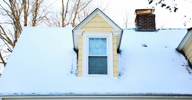 Winter wonderland: Snow blankets plants and streets in a serene scene, creating a peaceful and magical atmosphere