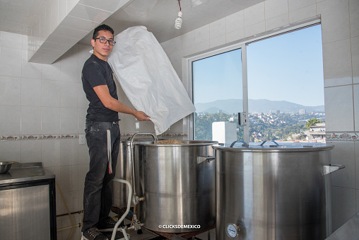 Latino man pouring barley for craft beer production