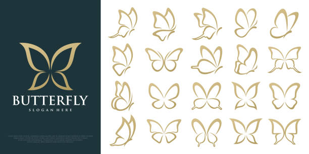 set of butterfly logo. luxury line logotype design. butterfly symbol logotype. vector illustration - butterfly art stock-grafiken, -clipart, -cartoons und -symbole