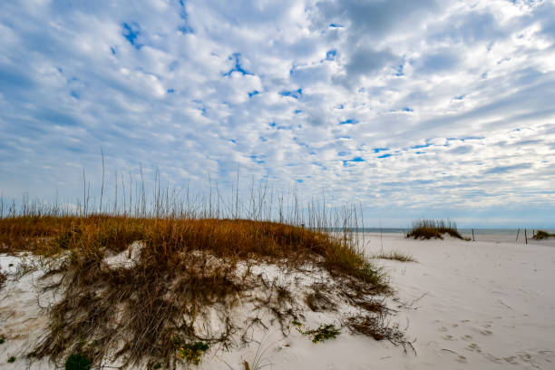 New Years Day on the Beach, Alabama Point, Perdido Pass, Orange Beach, Alabama