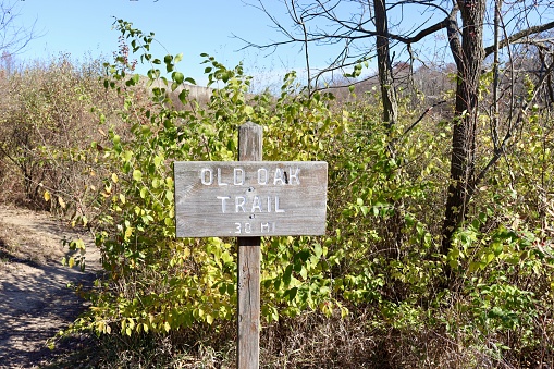 A close view of the old wood trail sign in the park.