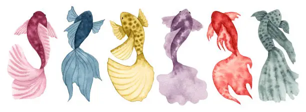 Vector illustration of Collection of watercolor fish.Simple, stylized style.Solid color sea animals.Underwater world of marine wildlife for clipart.Ocean and sea.