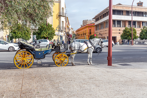 Seville, Spain - December 22, 2023: Old horse drawn carriage at Seville street