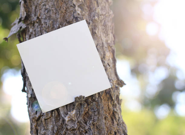 istock sheet of paper on tree 1928885283