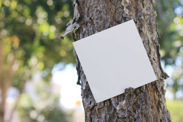 istock sheet of paper on tree 1928885284