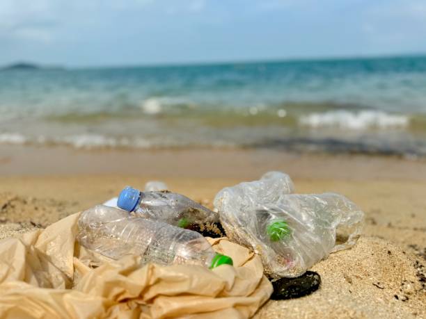 istock Plastic Garbages found on the island 1928903065
