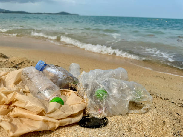 istock Some Garbages on the island 1928903134