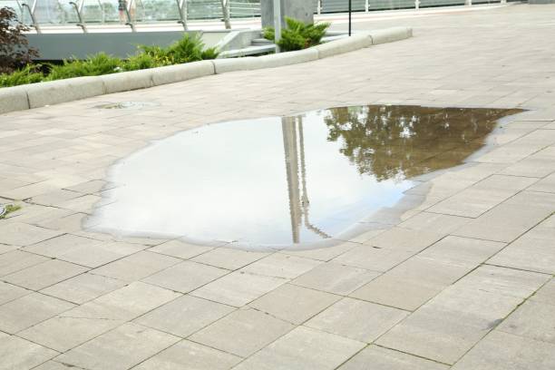 istock Puddle of rain water on paved pathway outdoors 1928971237