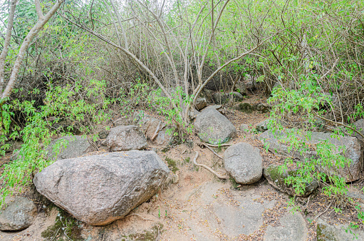 Rocky trail of Chamundi Hills, Mysore, India