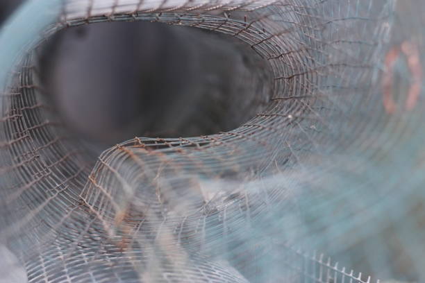 Spider web on a blue background