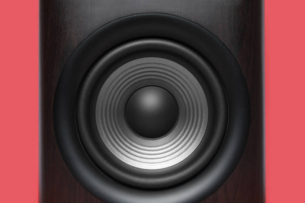 Electronic equipment Professional Speaker with very good sound quality