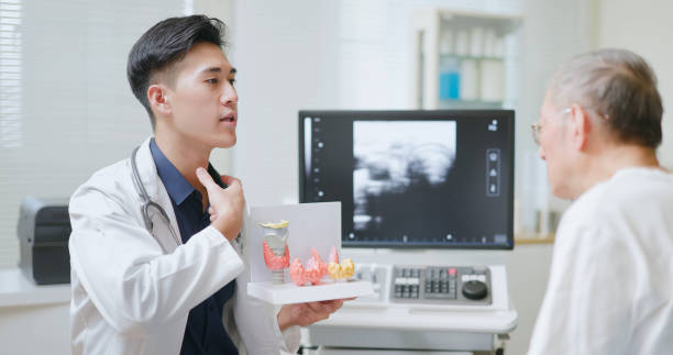 doctor explain ent model - hipotiroidisme potret stok, foto, & gambar bebas royalti