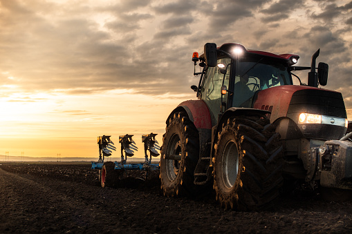 tractor plows the field in the evening at sunset.