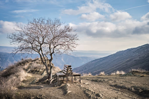 Place to rest, benches on a walking path under a lonely tree, view of mountains and endless sky with clouds, advertising campaign concept or product mockup with copy space