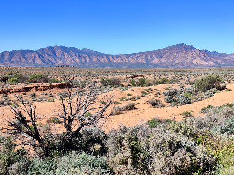 View of the majestic Flinders Ranges, the largest mountain ranges in South Australia.