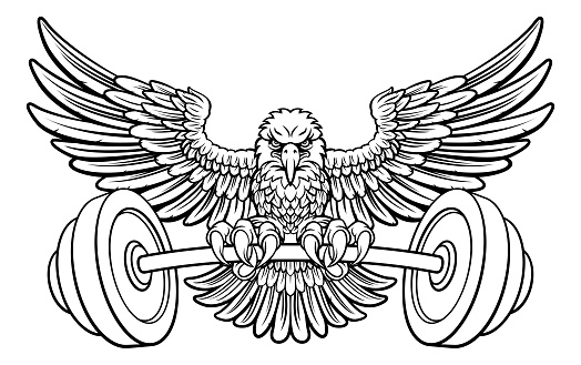 A bald eagle hawk weight lifting or gym fitness mascot holding a barbell