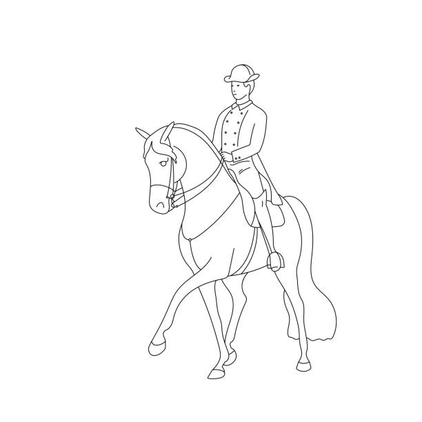 illustrazioni stock, clip art, cartoni animati e icone di tendenza di dressage classico, un cavaliere a cavallo esegue il mezzo passaggio - sella pass