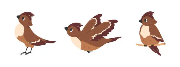 Vector illustration of Lark bird set. Skylark flies with its wings spread.