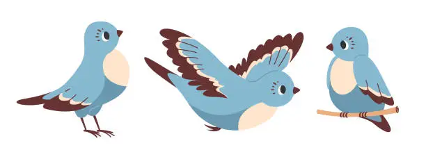 Vector illustration of Dove bird flies with its wings spread, sitting on branch.