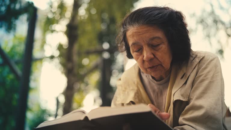 Elderly woman refugee reading a book while on bench in park, educated woman