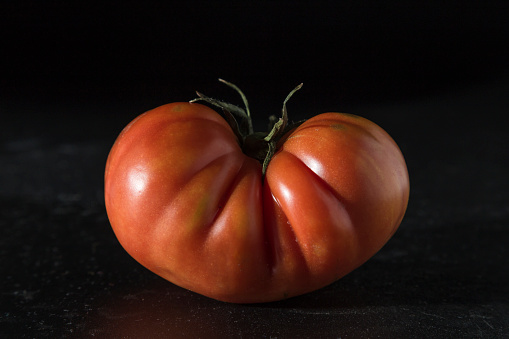 portrait of a raf tomato, ripe and red, in close-up on a black background