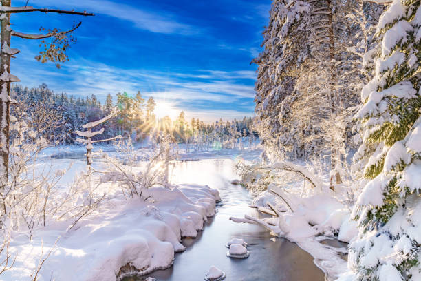 istock River flowing through the winter forest in Sweden 1929374979