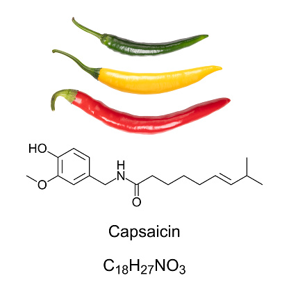 Cayenne chili peppers, and capsaicin chemical formula and structure. Capsaicin is the active component and chemical irritant in chili peppers, and as spice in food it provides spiciness and piquancy.