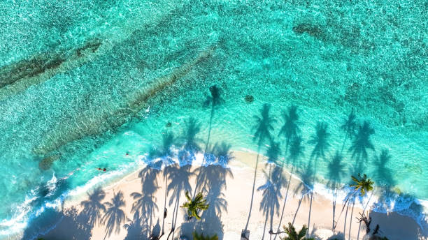 istock Summer palm tree  and Tropical beach with blue  of seashore background 1929381838