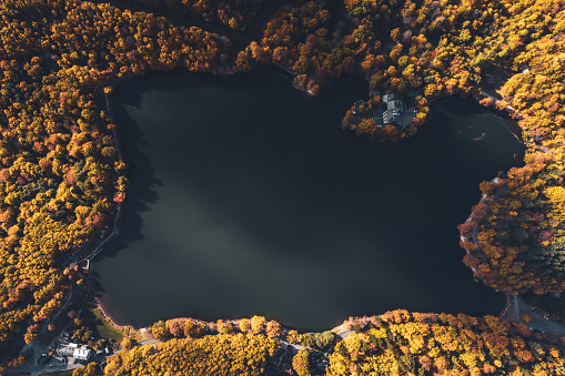 Top view of lake in the middle of beautiful autumn forest in Slovakia. Europe traveling concept.
