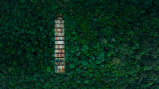 container ship in the middle of the forest, top view and copy space