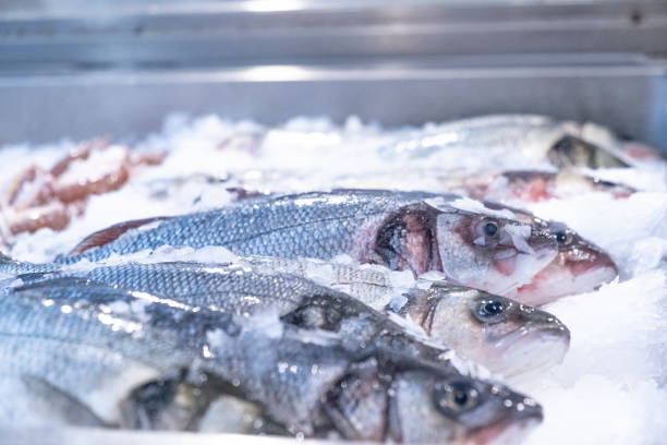 istock fresh sea bass 1929433179