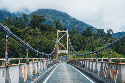 Journey through the lush temperate rainforest of New Zealand, crossing a tranquil country road bridge in this captivating natural landscape.