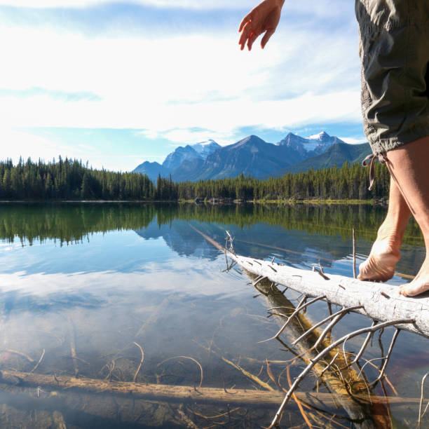 Free Stock Photo of Man Standing on Log by Water | Download Free Images ...