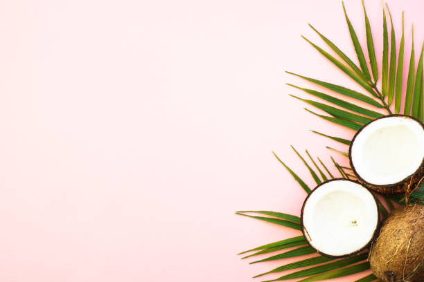 istock Palm leaves and coconut on pink background. 1929553565