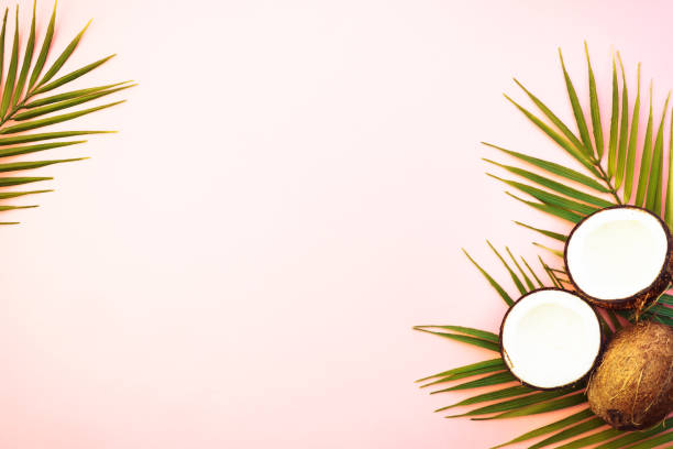 istock Palm leaves and coconut on pink background. 1929553573